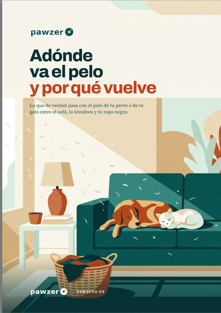 Portada de la guía Adónde va el pelo